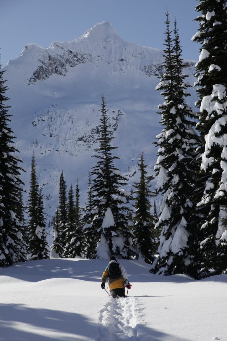 Backcountry Skiing - BC, Canada