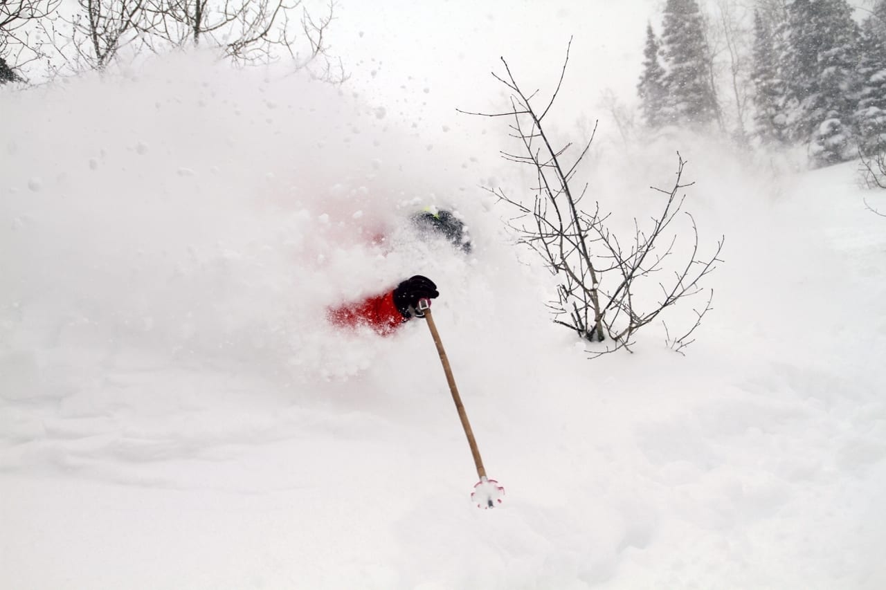 Powder Skiing - Utah USA